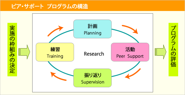 ピア・サポート  プログラムの構造